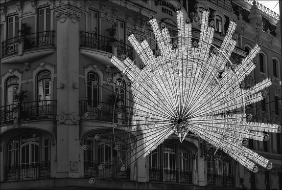 Plume d argent