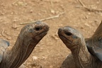 Conversation