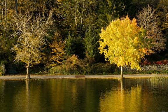 Couleur D'automne