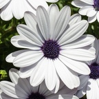 202407 Ministage 079