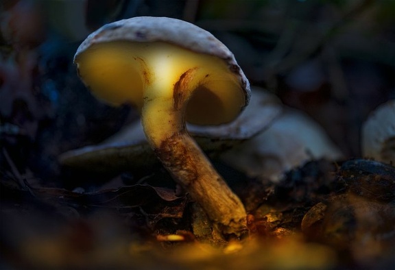 2024 09 29 CODY95 CHA4