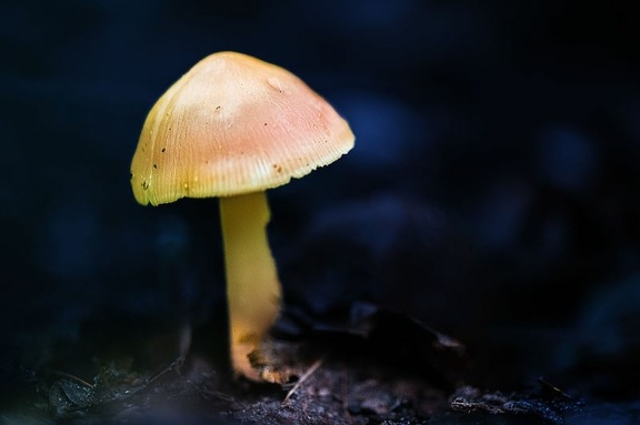 2024 09 29 CODY95 CHA6